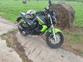 2020 Motoland Bandit 250, зелёный, 95000 рублей - вид 4