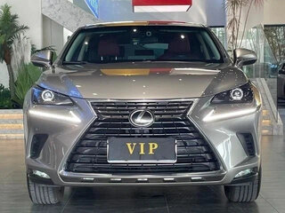 2021 Lexus NX 200 I Рестайлинг, серый, 2600000 рублей, вид 2