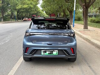 2024 BYD Dolphin 44.9 kWh I, синий, 1300000 рублей, вид 5