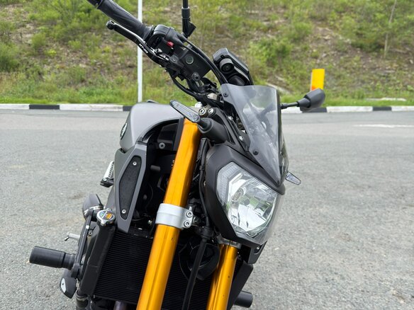 2014 Yamaha MT-09 (FZ-09), серый, 750000 рублей - вид 14
