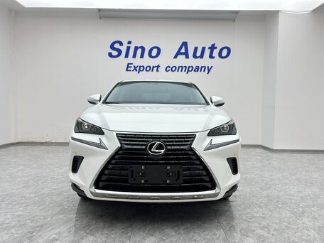 2020 Lexus NX 200 I Рестайлинг, белый, 2590000 рублей, вид 2