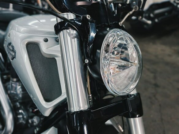 2009 Harley-Davidson V-Rod Muscle, серебристый, 1180000 рублей - вид 8