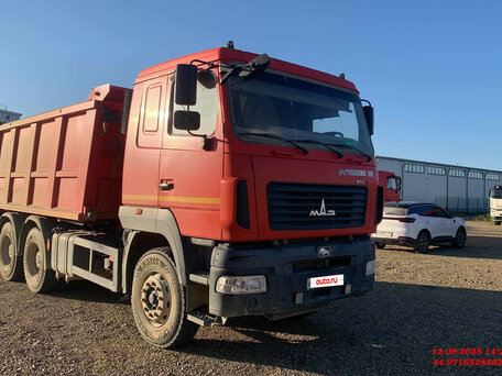 2021 МАЗ 6501, красный, 2515000 рублей, вид 1