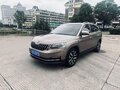 2022 Skoda Kamiq I (China Market), коричневый