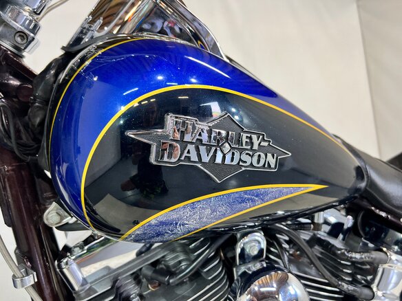 2011 Harley-Davidson Softail Custom, синий, 980000 рублей - вид 28