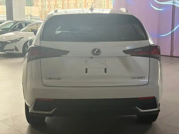 2021 Lexus NX 200 I Рестайлинг, белый, 2810000 рублей - вид 9