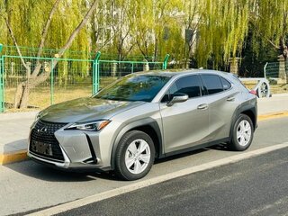 2020 Lexus UX 200 I, коричневый, 2690000 рублей, вид 5