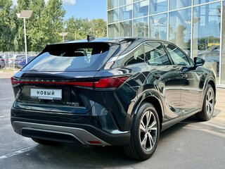 2025 Lexus RX 300 V, чёрный, 8475000 рублей, вид 5
