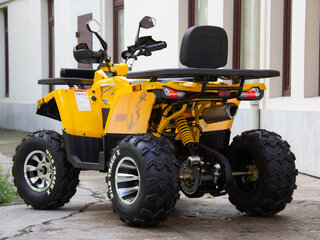 2024 Motoland Wild Track 200 X Pro, жёлтый, 274090 рублей, вид 4