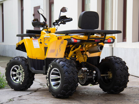 2024 Motoland Wild Track 200 X Pro, жёлтый, 274090 рублей, вид 4