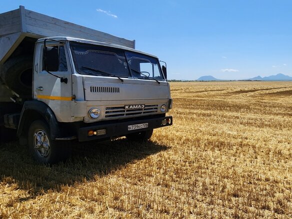 1991 КамАЗ 5511, серый, 600000 рублей - вид 1