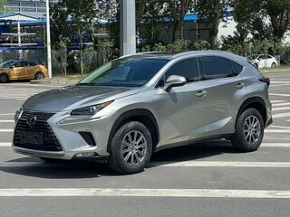 2018 Lexus NX 200 I Рестайлинг, серый, 2680002 рублей, вид 1