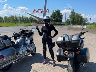 2005 Honda GL 1800 Gold Wing, серый, 950000 рублей, вид 4