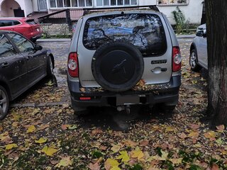 2012 Chevrolet Niva I Рестайлинг, серебристый, 360000 рублей, вид 3