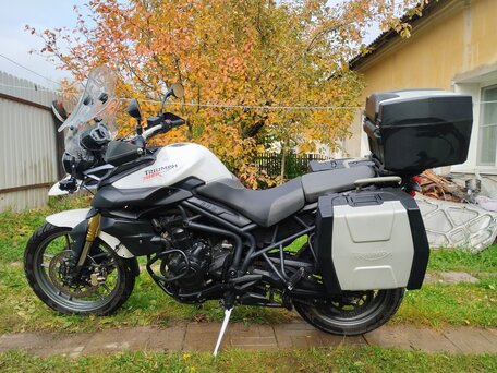 2013 Triumph Tiger 800, белый, 600000 рублей, вид 5