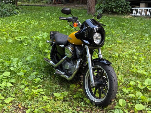 2013 Harley-Davidson Sportster 883, жёлтый, 580000 рублей - вид 5