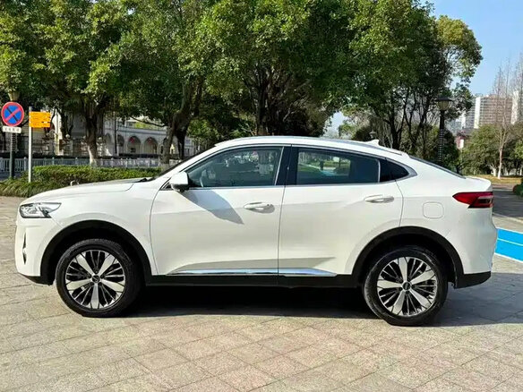 2021 Haval F7x I, белый, 1550898 рублей - вид 3