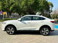 2021 Haval F7x I, белый, 1550898 рублей - вид 3