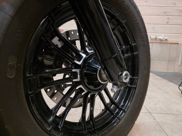 2021 Harley-Davidson Sportster 1200, серый, 1250000 рублей - вид 11
