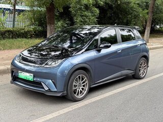 2024 BYD Dolphin 44.9 kWh I, синий, 1300000 рублей, вид 1