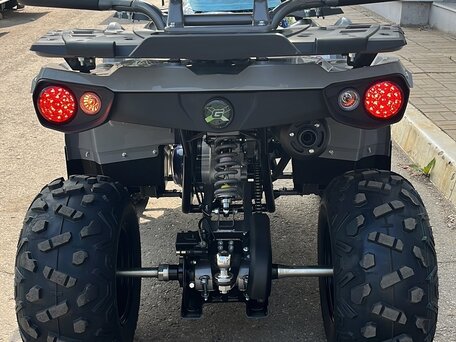 2025 Gladiator F200, серый, 210000 рублей, вид 1