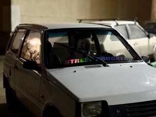 2007 Lada (ВАЗ) 1111 Ока СеАЗ, белый, 99999 рублей, вид 4