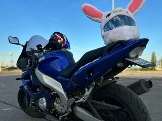 Yamaha YZF600R Thundercat