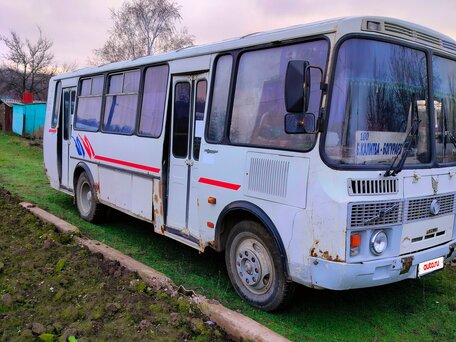 2010 ПАЗ 4234, белый, 600000 рублей, вид 2