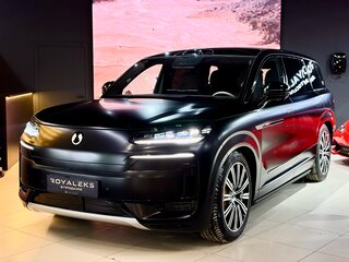 Denza N9 46.9 kWh