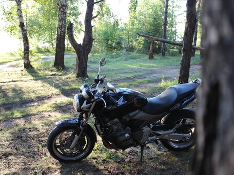 2004 Honda Hornet 2.0, чёрный, 400000 рублей, вид 3
