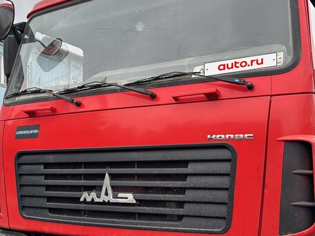 2021 МАЗ 6501, красный, 2017000 рублей, вид 2