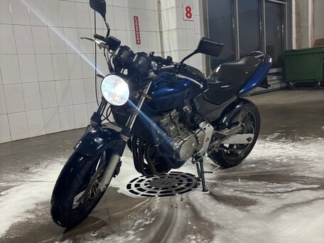 2002 Honda CB 600F Hornet, синий, 320000 рублей, вид 1