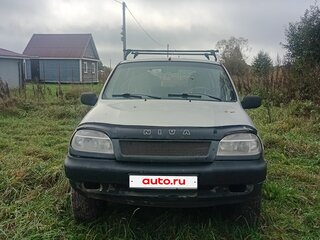2003 Chevrolet Niva I, серебристый, 170000 рублей, вид 2