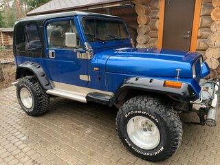 1992 Jeep Wrangler I (YJ), синий, 1369000 рублей, вид 2