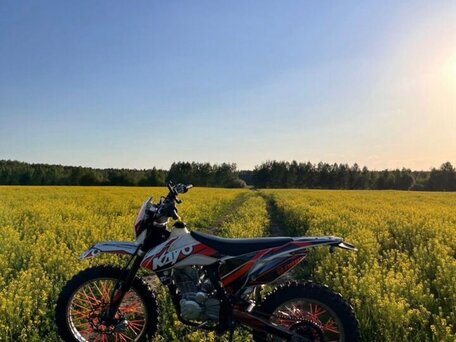 2023 Kayo T2 250 MX, оранжевый, 110000 рублей, вид 3