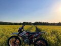 2023 Kayo T2 250 MX, оранжевый, 110000 рублей - вид 2