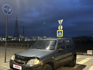 2010 Chevrolet Niva I Рестайлинг, серый, 360000 рублей, вид 1