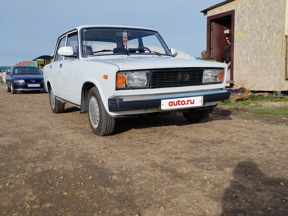 2007 Lada (ВАЗ) 21053-20, белый, 350000 рублей - вид 6