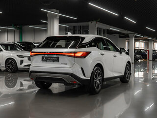 2025 Lexus RX 300 V, белый, 8280000 рублей, вид 5