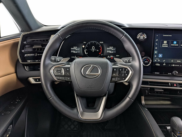 2025 Lexus RX 300 V, серый, 7510000 рублей - вид 21