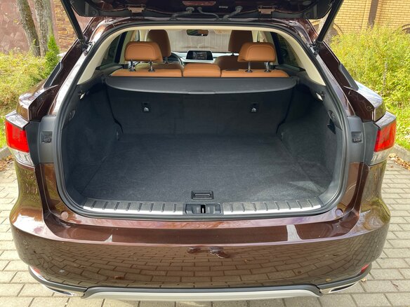 2019 Lexus RX 300 IV Рестайлинг, коричневый, 4700000 рублей - вид 11