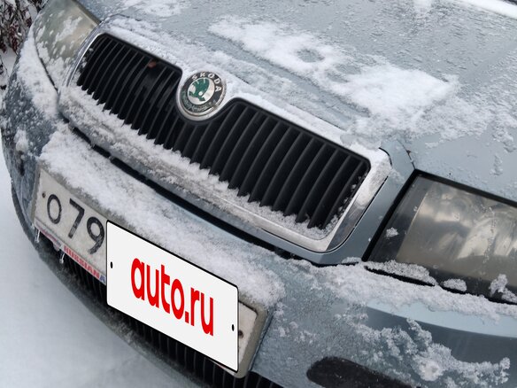 2004 Skoda Fabia I, серый, 280000 рублей - вид 1