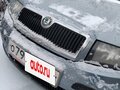 2004 Skoda Fabia I, серый, 280000 рублей - вид 1