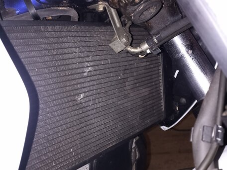 2010 Suzuki SFV 400 Gladius, белый, 370000 рублей, вид 4
