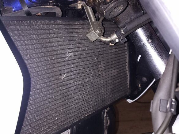 2010 Suzuki SFV 400 Gladius, белый, 370000 рублей - вид 3