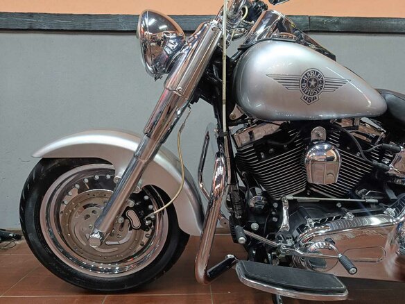 2009 Harley-Davidson Fat Boy, серый, 870000 рублей - вид 21