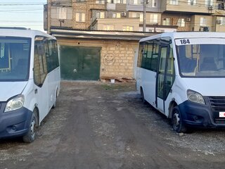2016 ГАЗ Next Citiline, белый, 850000 рублей, вид 3