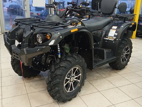 2026 Stels ATV-600YL Леопард, чёрный, 669000 рублей, вид 3