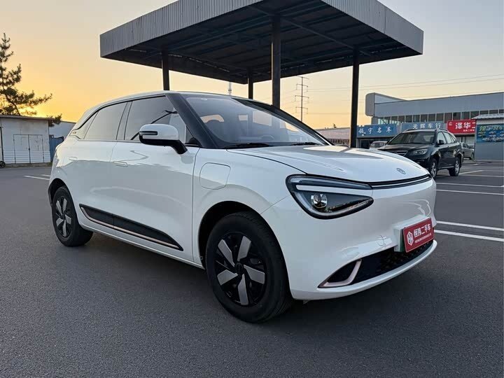 Открыть фотографии: Dongfeng Nammi 01