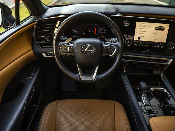 2025 Lexus RX 300 V, синий - вид 14